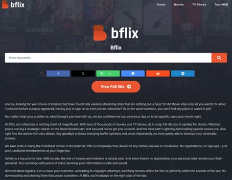 BFlix: A Cinematic Haven for All .